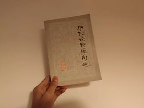 论诗的意思,论诗这首诗的诗句和诗意
