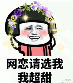 请选择我吧,这句英文说的是什么意思？
