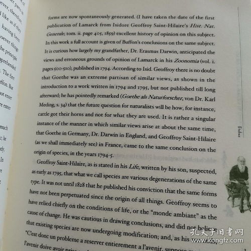 起源英文,起源的英语怎么说