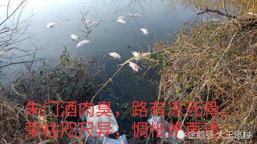路有冻死骨,杜甫朱门酒肉臭路有冻死骨的全诗