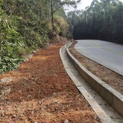 路肩是什么,路肩是什么意思