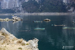 轻舟已过万重山上一句,两岸猿声啼不住轻舟已过万重山全诗