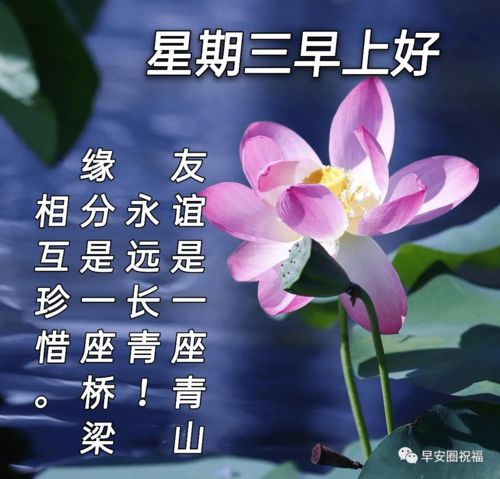 轻轻的我来了,徐志摩的诗歌--轻轻的我来了全文