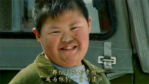 迷失的亲情王小海,迷失的亲情剧情介绍