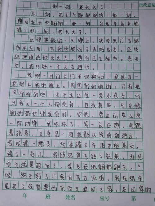那一刻我长大了作文450字五年级,那一刻我长大了作文450字（合集10篇）