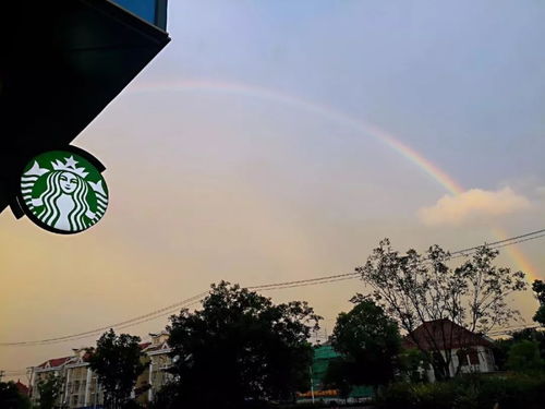 那一刻的彩虹,《那一刻的彩虹》txt下载在线阅读全文，求百度网盘云资源