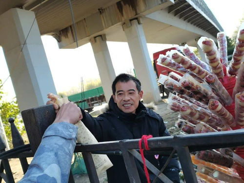 那一声吆喝,《那一声吆喝》阅读及答案