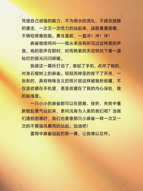那一幕让我难以忘怀,那一幕，让我难以忘记作文