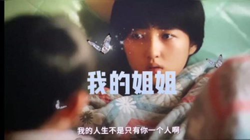 那一次我很感动,那一次我真感动优秀作文