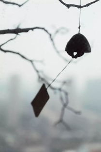 那些内心高贵的人,根据提示，修改下面一段文字。（4分）那些内心高贵的人，即使    a    （曲折  挫折）不断，即使被压迫在