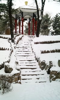 那年冬天好大雪,题目是 《那年的冬天好大雪》