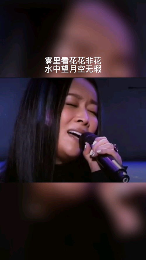 那英雾里看花歌词,那英《雾里看花》的歌词