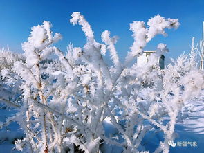 闹海风,闹海风是一种大风并伴有吹雪雪基等的灾害性天气其形成与亚洲高压的移动...