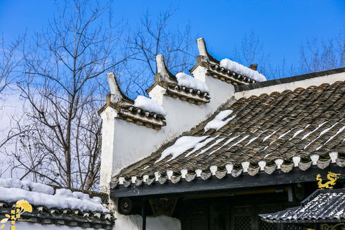 陇国公,陇国公是谁