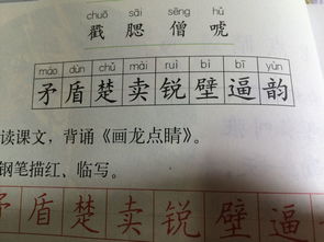 陪字组词语,陪可以怎么组词