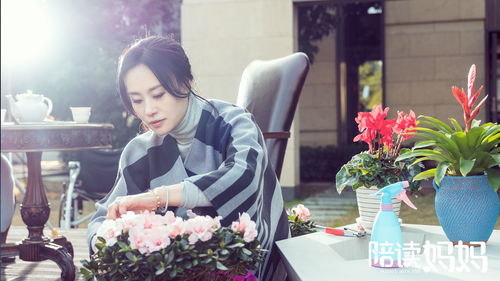 陪读妈妈的故事全8,陪读妈妈的故事