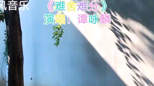 难舍难分,难舍难分是什么意思？