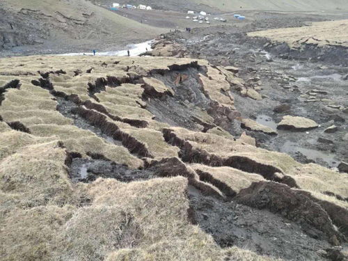 青藏高原土壤,青藏高原的土壤类型是什么