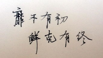 靡不有初,靡不有初鲜克有终是什么意思