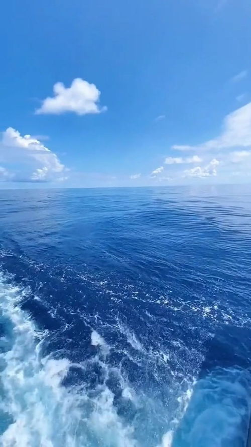 面向大海,面向大海的心情句子