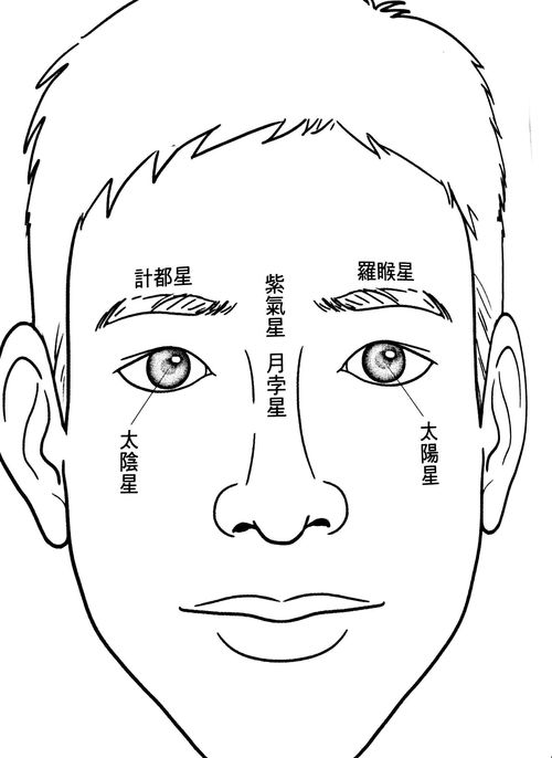面面相觑,面面相觑的解释词语