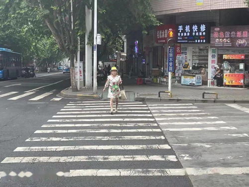 马路,马路的读音马路的读音是什么