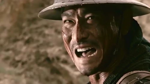 马革裹尸,马革裹尸的词语解释