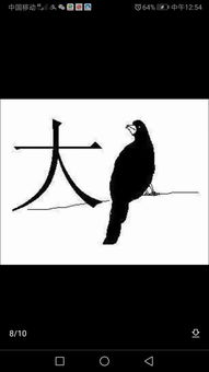 鸟字旁的字和什么有关,鸟字边的字大部分都和什么有关