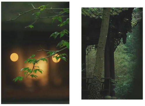 鸟宿池边树僧敲月下门是谁的诗句,“乌宿池边树，僧推月下门”出自哪首诗？作者是谁？