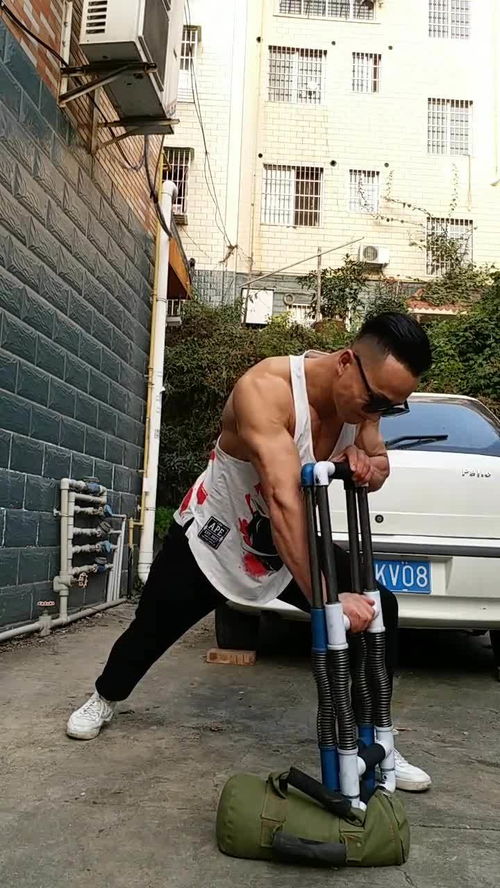 鸟笼里飞不出雄鹰,谚语：鸟笼里飞不出雄鹰上一句是什么？黑发不知勤学早下一句是什么？