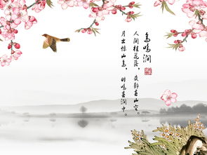 鸟鸣涧的写作背景,鸟鸣涧的写作背景