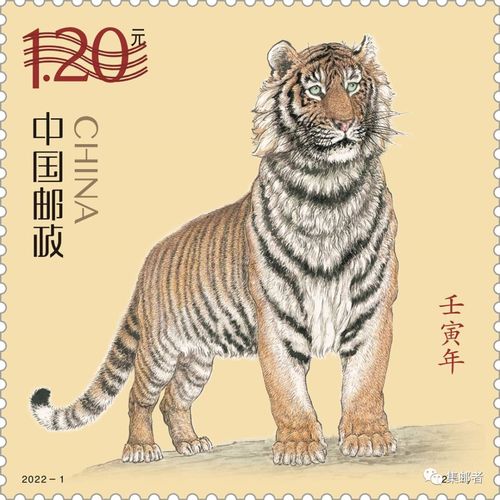 龙头蛇尾中生肖是什么生肖,龙头蛇尾中生肖，解出的答案是什么？
